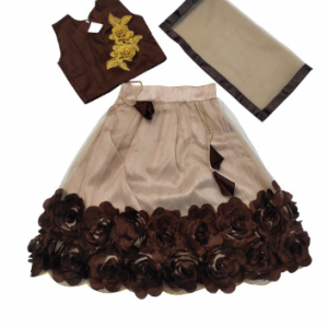 BAESD Girls Embroidered Ready to Wear Lehenga & Blouse With Dupatta