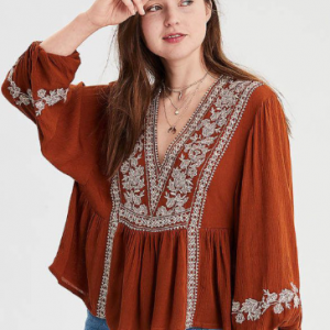 Roadster The Lifestyle Co. Embroidered V-Neck Top